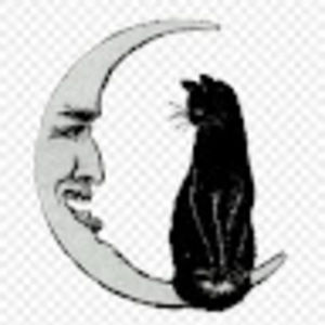 Meet your Posher, Parker